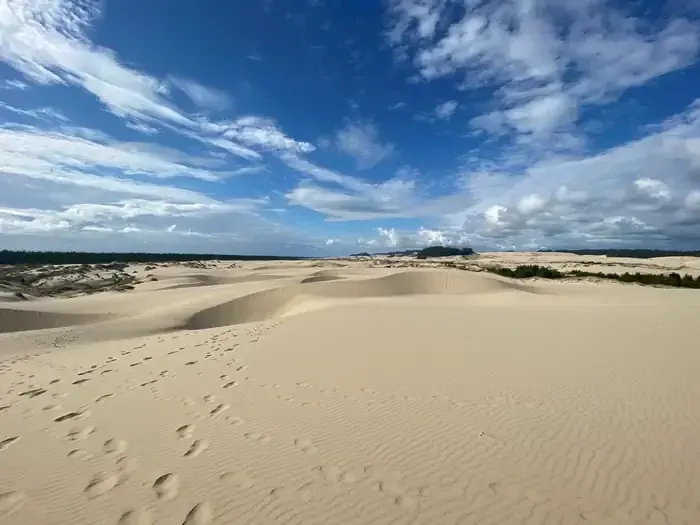 Sand dunes at Eel Creek Campground