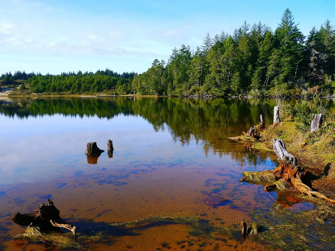 Cleawox Lake at Jessie M. Honeyman Memorial State Park