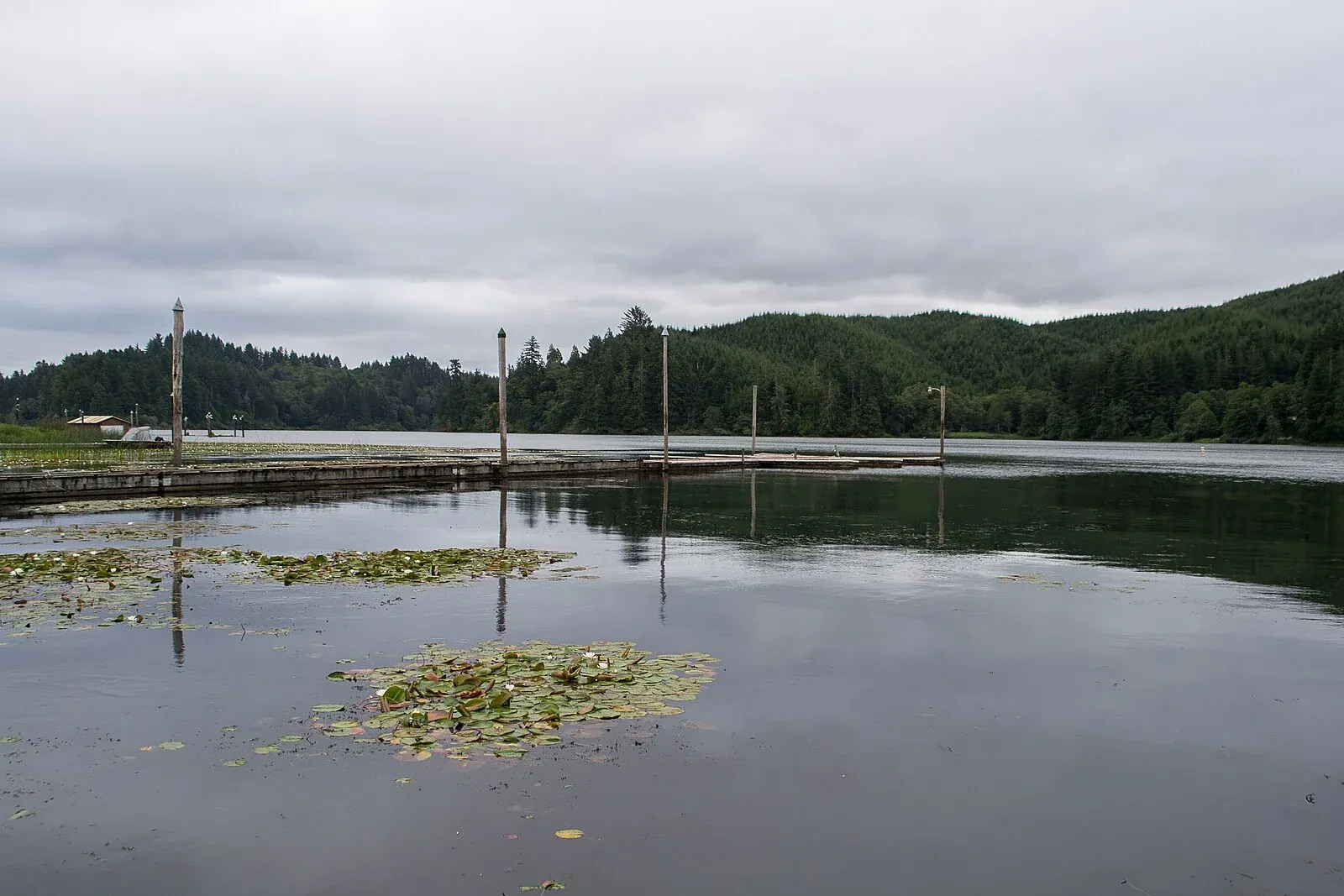 Tenmile Lake near Lakeside