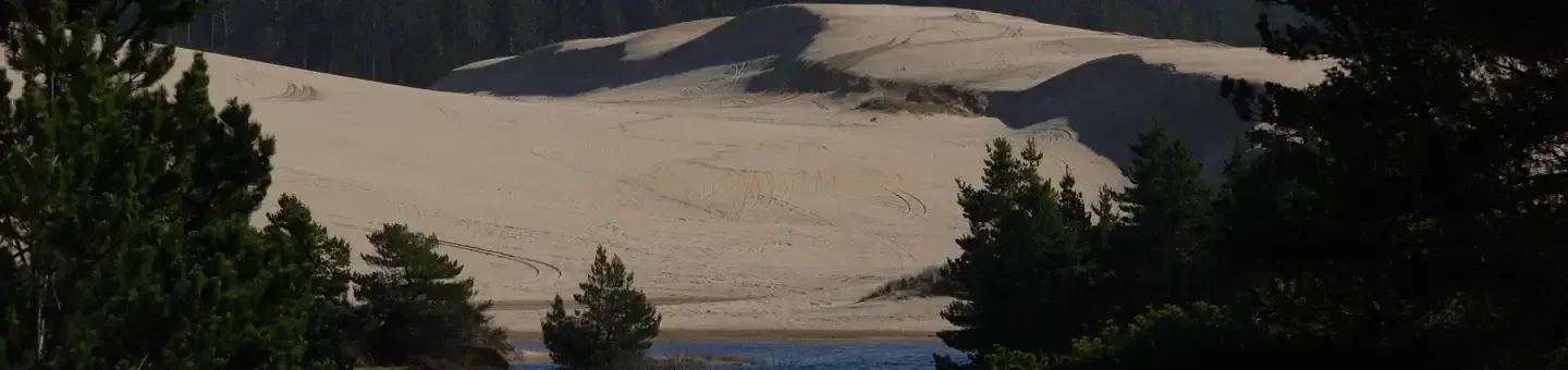 Dunes at Spinreel Sand Camping