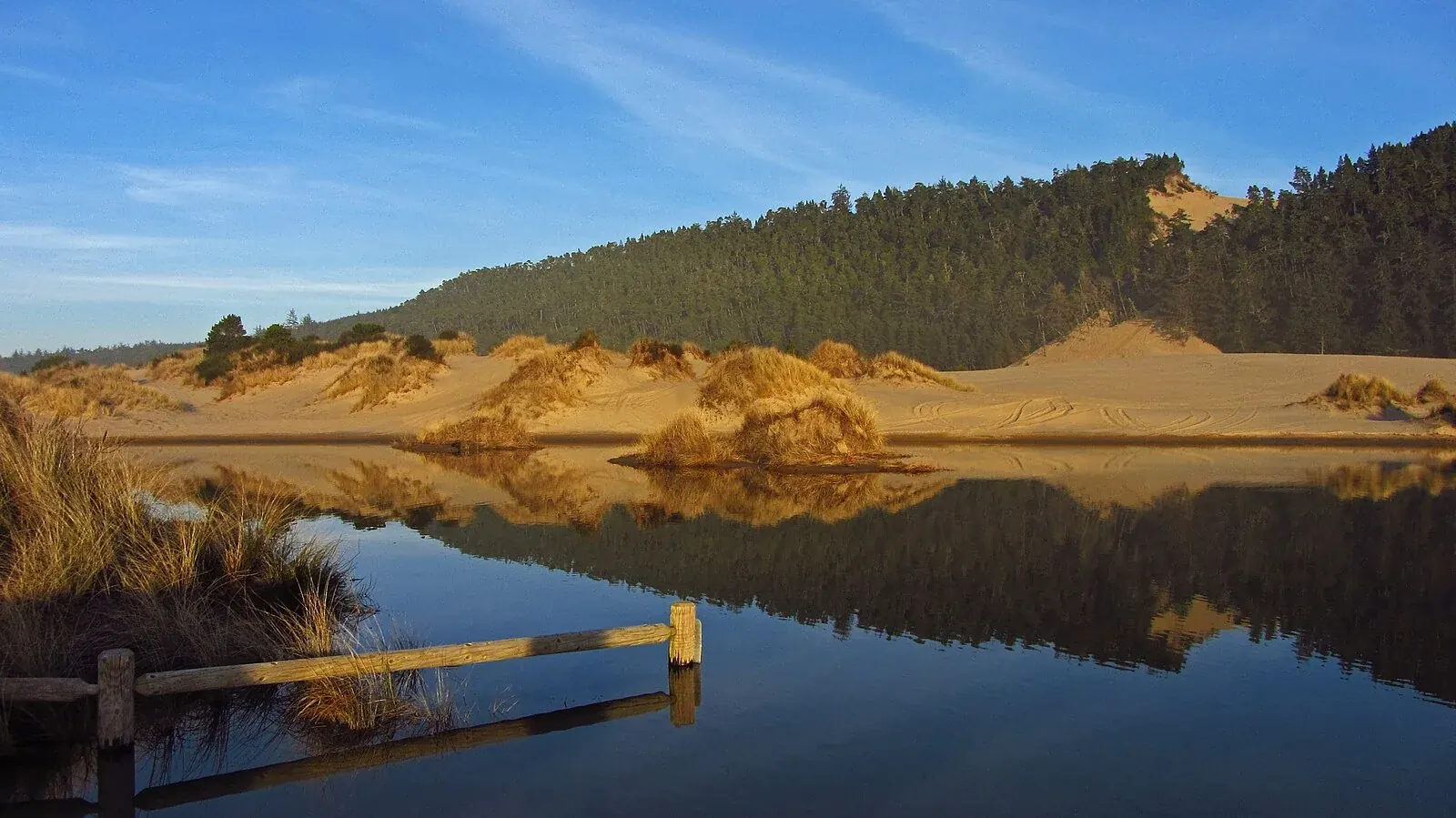 Banshee Hill in the Umpqua Dunes